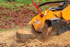 Best Stump Grinding and Removal  in Ladera Heights, CA